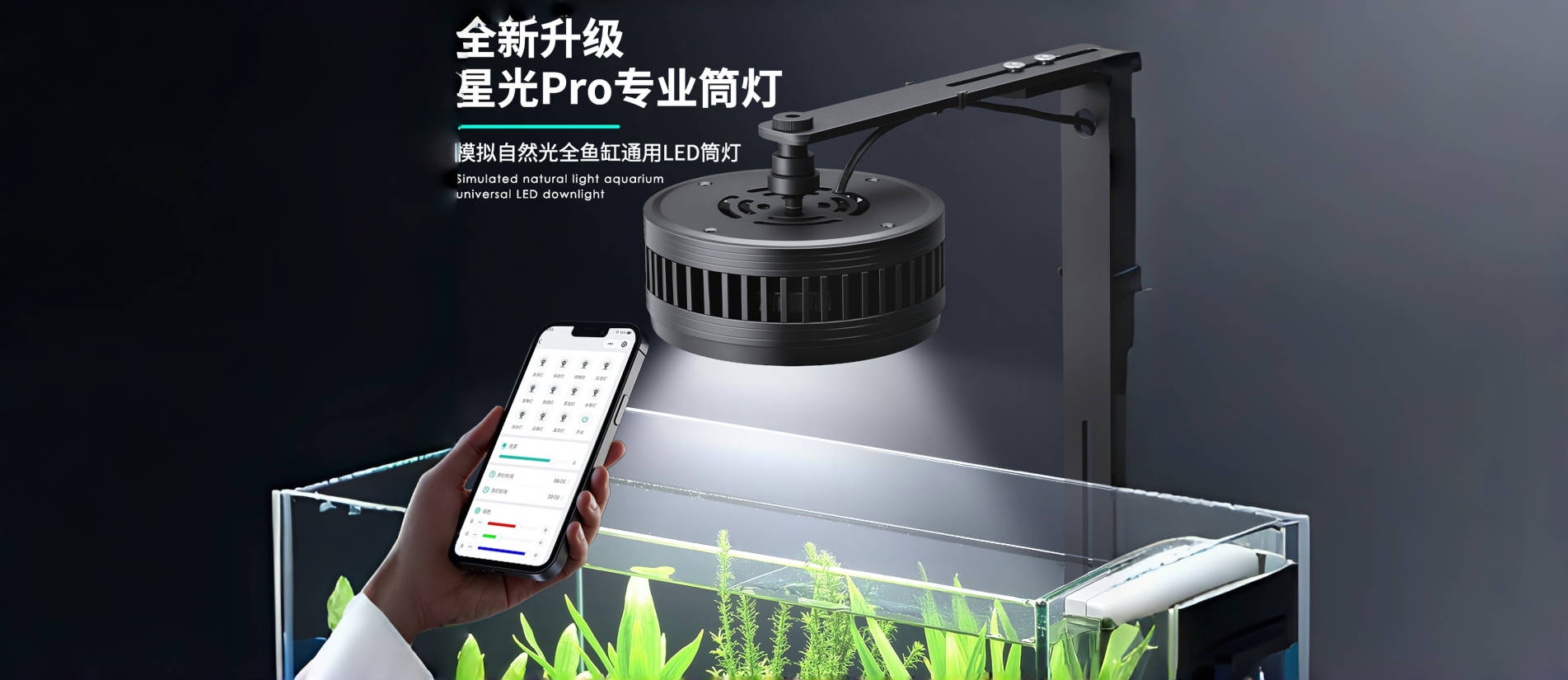 通栏图片